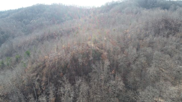 554 sukey hollow Road, Williamsburg, KY 40769