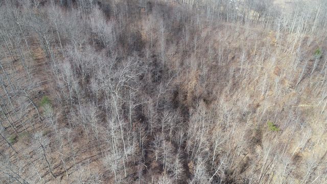 554 sukey hollow Road, Williamsburg, KY 40769