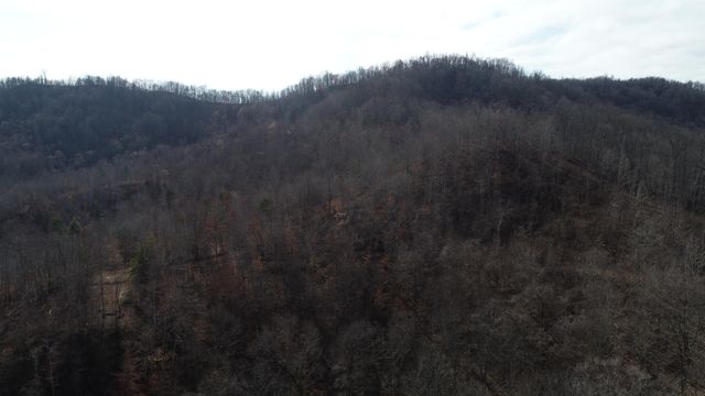 554 sukey hollow Road, Williamsburg, KY 40769