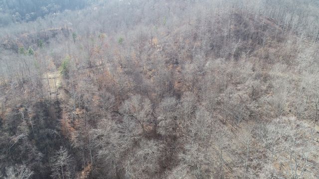 554 sukey hollow Road, Williamsburg, KY 40769