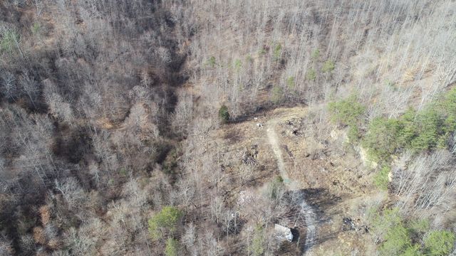 554 sukey hollow Road, Williamsburg, KY 40769