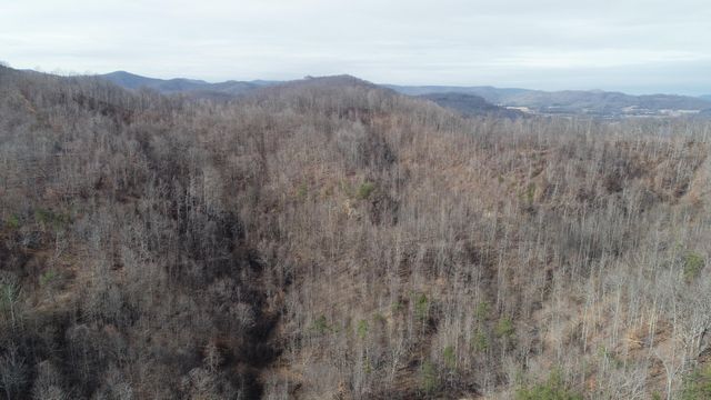 554 sukey hollow Road, Williamsburg, KY 40769