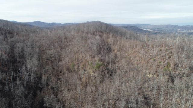 554 sukey hollow Road, Williamsburg, KY 40769