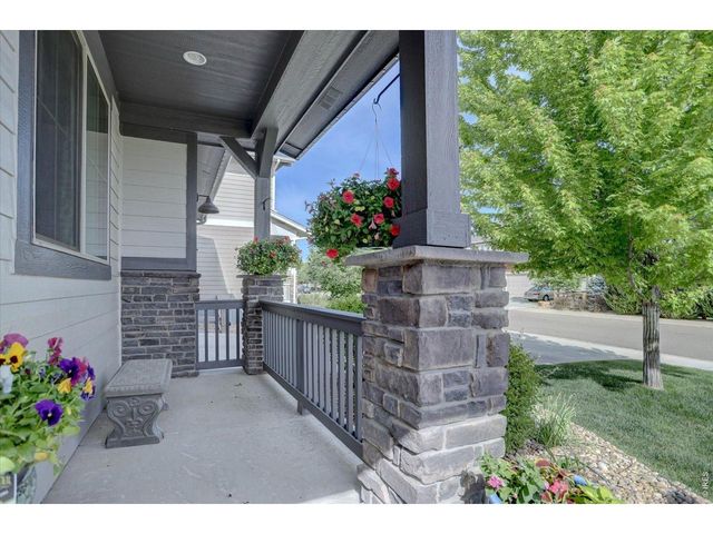 4366 Buffalo Mountain Dr, Loveland, CO 80538
