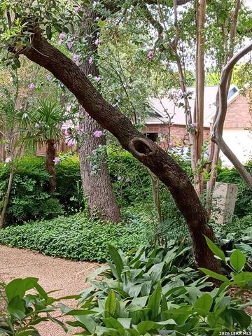 2039 Thicket Trail Dr, San Antonio, TX 78248