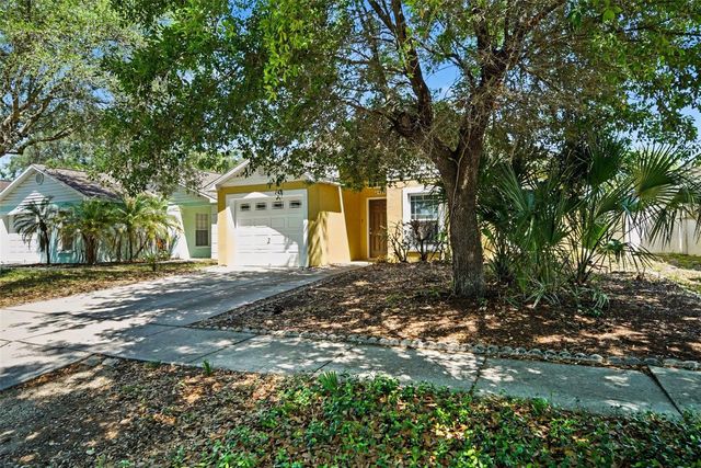 2424 CAMDEN OAKS PLACE, Valrico, FL 33594