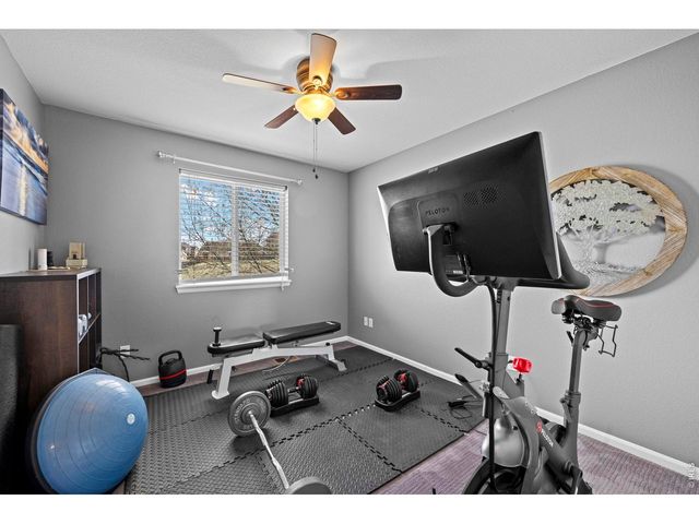 8255 El Jebel Loop, Castle Rock, CO 80108