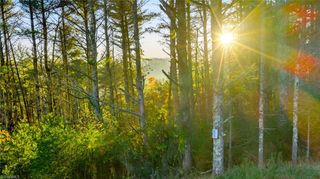 TBD 19 Davis Acres Drive, West Jefferson, NC 28694