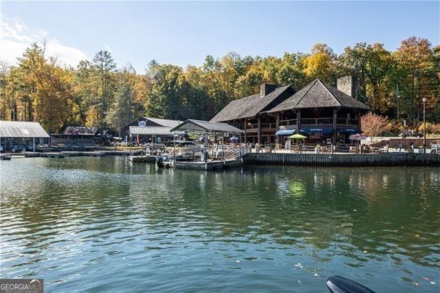 130 Cove View Lane, Clarkesville, GA 30523