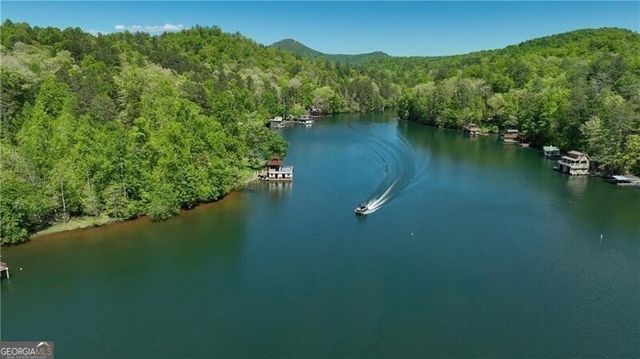 130 Cove View Lane, Clarkesville, GA 30523