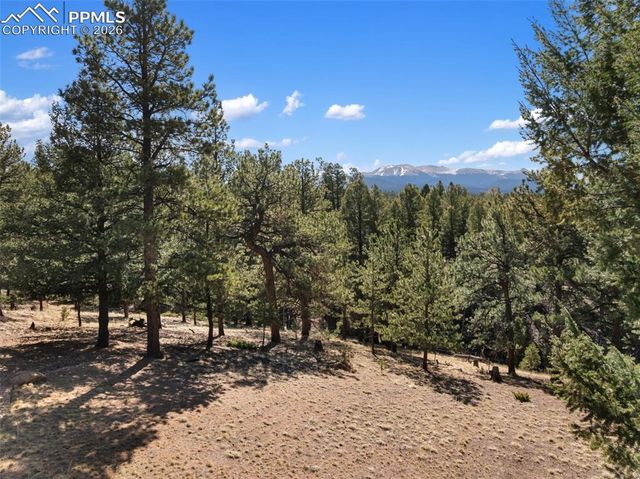 48 Walden Lake Circle, Divide, CO 80814