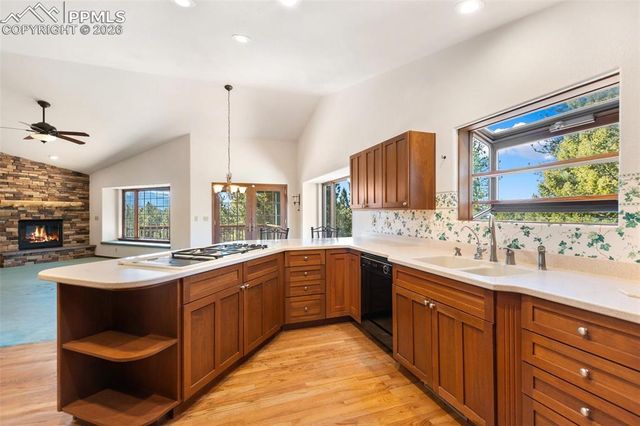48 Walden Lake Circle, Divide, CO 80814