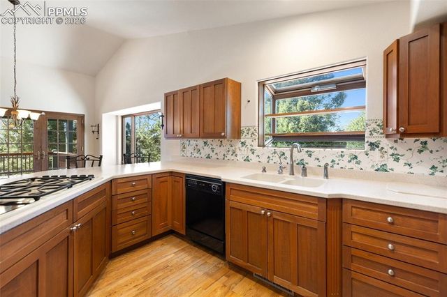 48 Walden Lake Circle, Divide, CO 80814