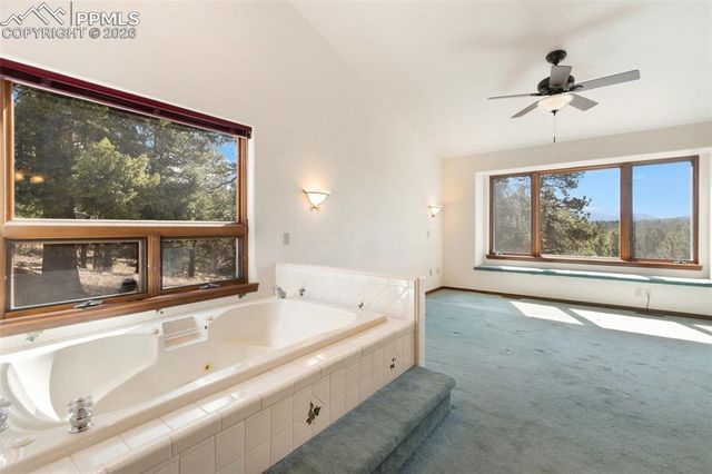 48 Walden Lake Circle, Divide, CO 80814