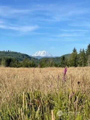 0 Salmon Creek Road, Mossyrock, WA 98564