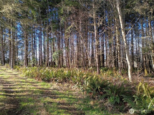 0 Salmon Creek Road, Mossyrock, WA 98564