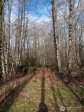 0 Salmon Creek Road, Mossyrock, WA 98564