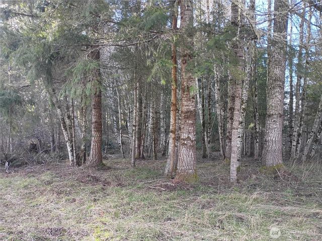 0 Salmon Creek Road, Mossyrock, WA 98564