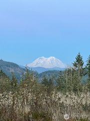 0 Salmon Creek Road, Mossyrock, WA 98564