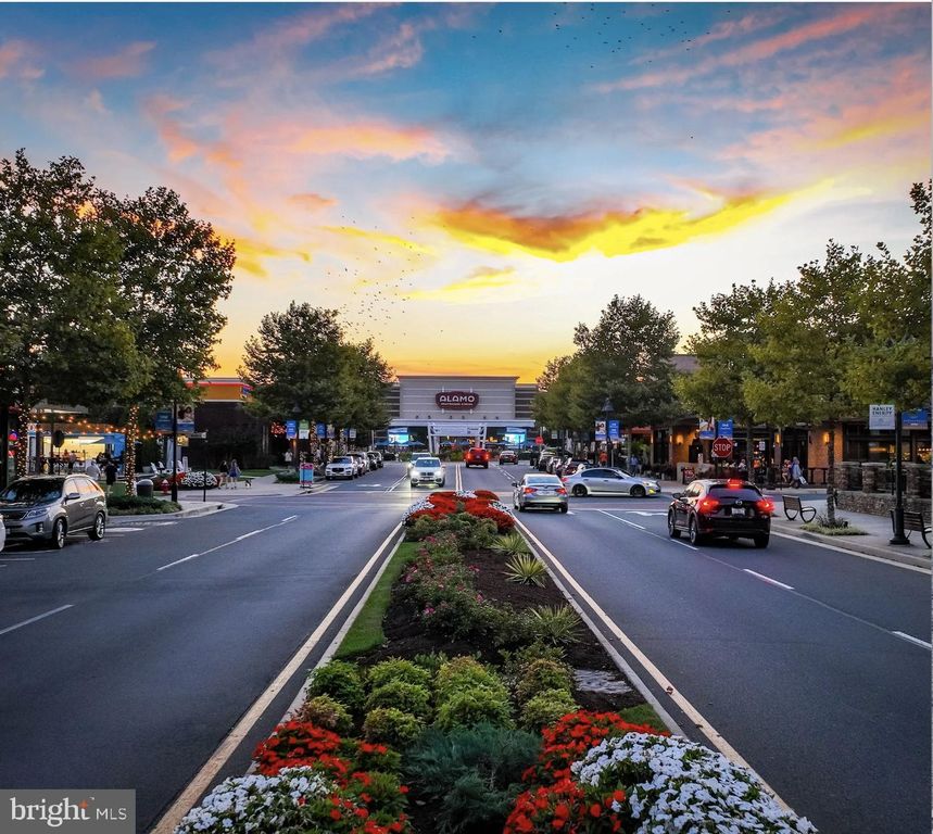 20287 SAVIN HILL DR, Ashburn, VA 20147