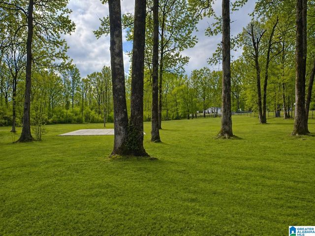 9595 HIGHWAY 17, Maylene, AL 35114