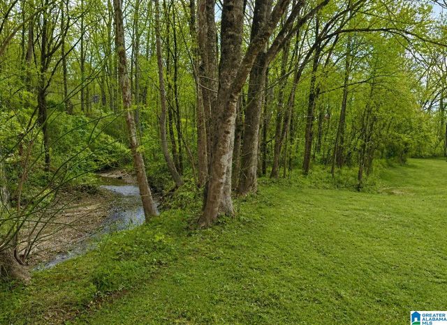 9595 HIGHWAY 17, Maylene, AL 35114