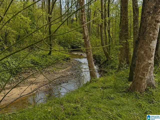 9595 HIGHWAY 17, Maylene, AL 35114