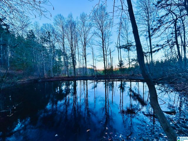 871 MEADOWRIDGE DRIVE, Piedmont, AL 36272