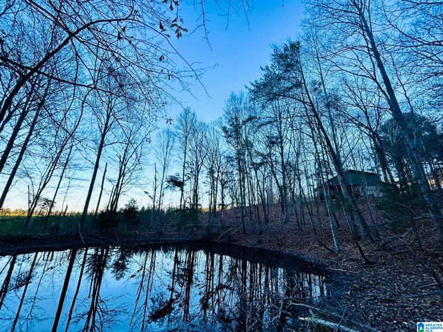 871 MEADOWRIDGE DRIVE, Piedmont, AL 36272