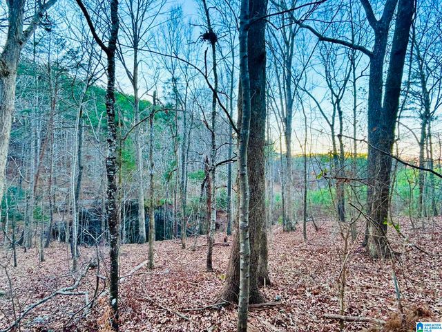 871 MEADOWRIDGE DRIVE, Piedmont, AL 36272