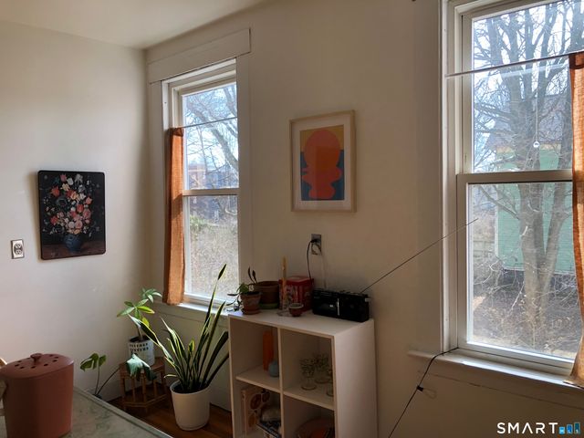 52 Canner Street 2, New Haven, CT 06511