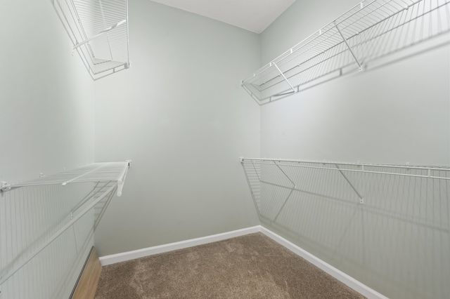 1019 Hickory Dr., Surfside Beach, SC 29575