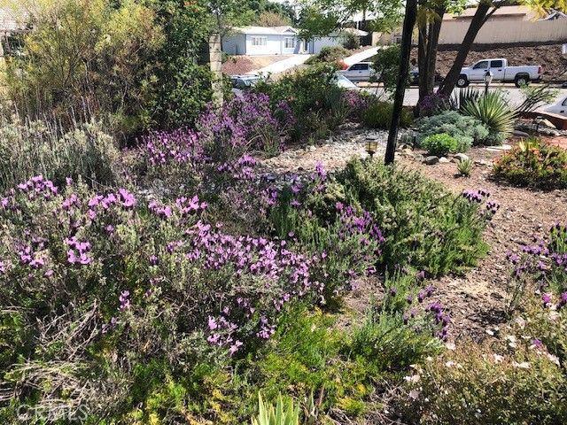 33501 Hidden Hollow, Wildomar, CA 92595