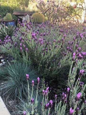 33501 Hidden Hollow, Wildomar, CA 92595