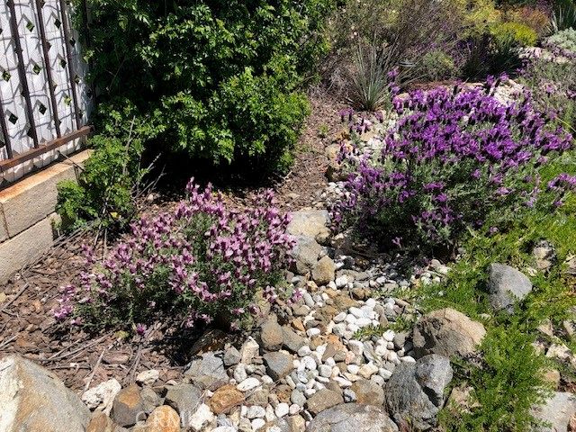 33501 Hidden Hollow, Wildomar, CA 92595