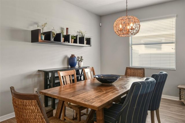 12423 BALLENTRAE FOREST DRIVE, Riverview, FL 33579