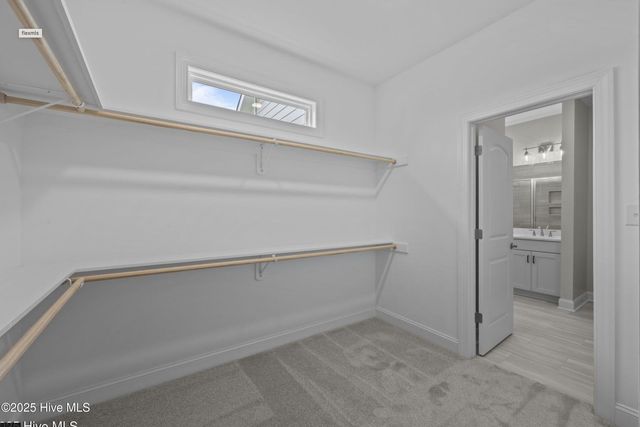 317 Taylorwood Drive, Beaufort, NC 28516