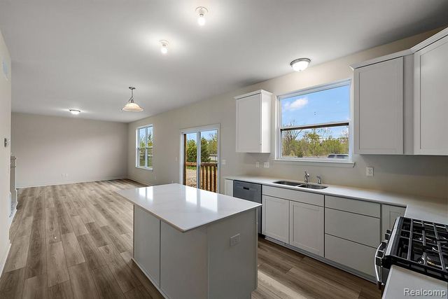 487 Cannonade Loop, Howell, MI 48843