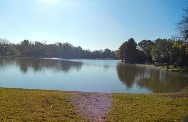 3208 Newfield Court, Garland, TX 75044