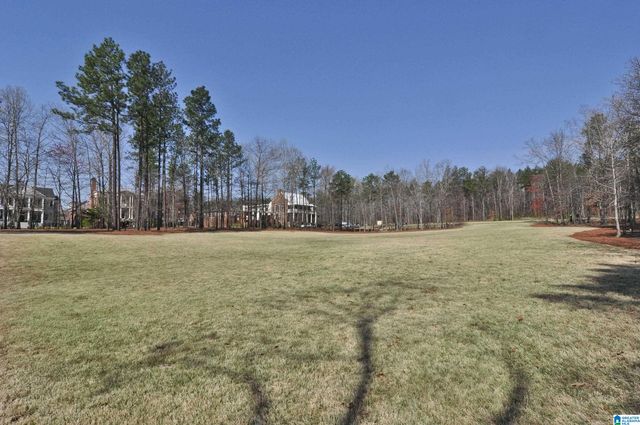 579 PRESERVE WAY, Hoover, AL 35226