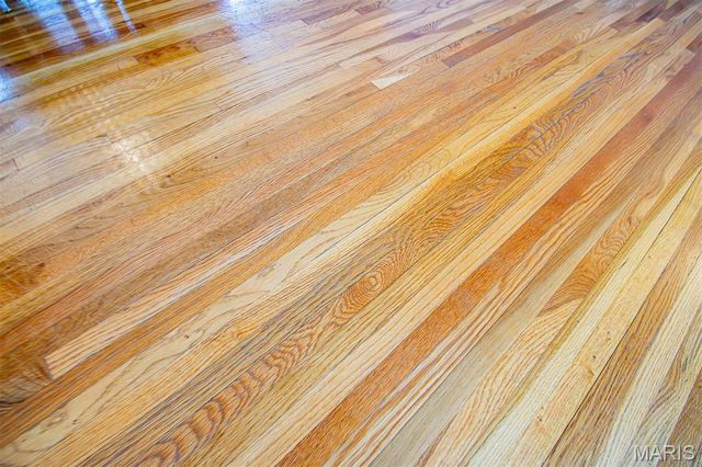 11648 VILLA DORADO Drive, St Louis, MO 63146