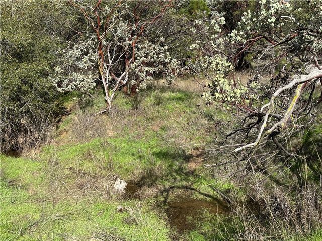 5906 Pine Top Drive, Mariposa, CA 95338