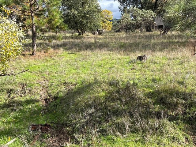 5906 Pine Top Drive, Mariposa, CA 95338