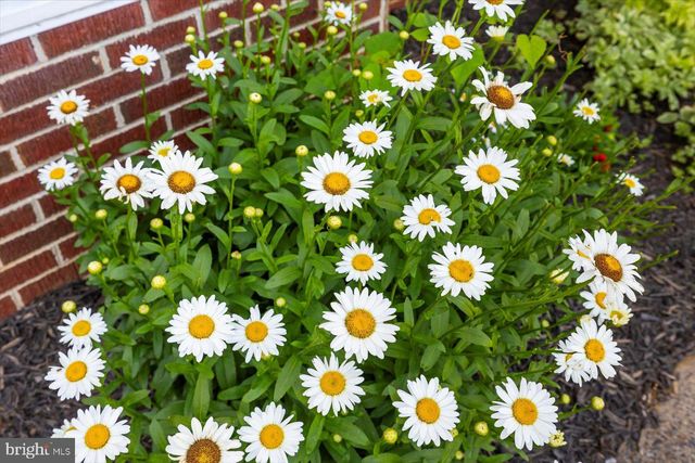 436 CASTLETON VIEW RD, Castleton, VA 22716