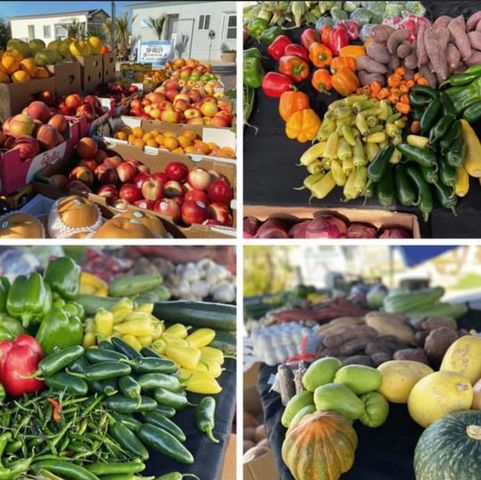 74711 Dillon Rd Spc 962, Desert Hot Springs, CA 92241