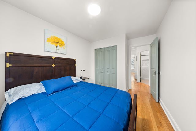244 N Hamlin Boulevard, Chicago, IL 60624