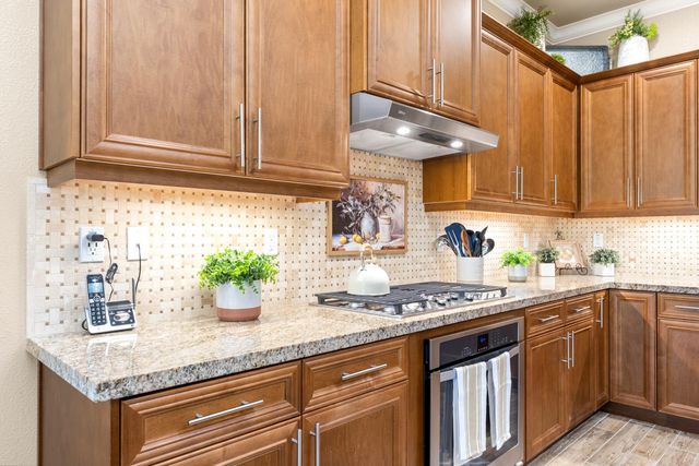 706 Mousebird Ct, Lincoln, CA 95648