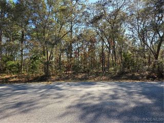 3686 W Parkview Drive, Dunnellon, FL 34433