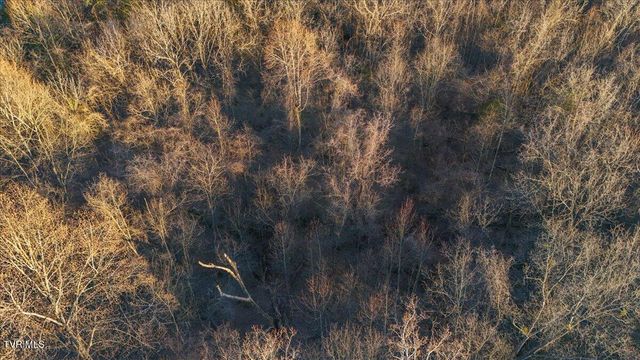 Tbd Mary Patton Highway, Elizabethton, TN 37643