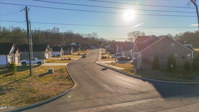 Tbd Mary Patton Highway, Elizabethton, TN 37643
